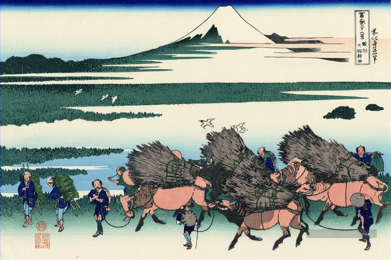 Ono shindon dans la province de suraga Katsushika Hokusai ukiyoe Peintures à l'huile